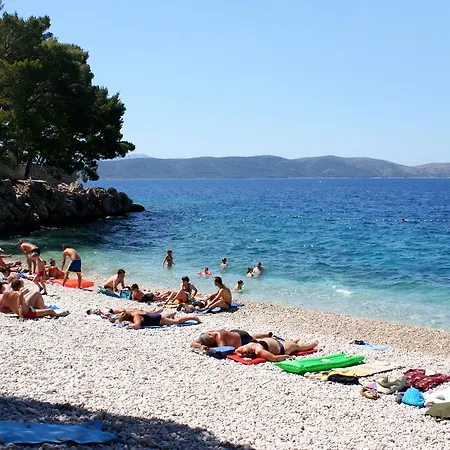 Studio Zivogosce Porat 13853a * Podgora (Split-Dalmatia)